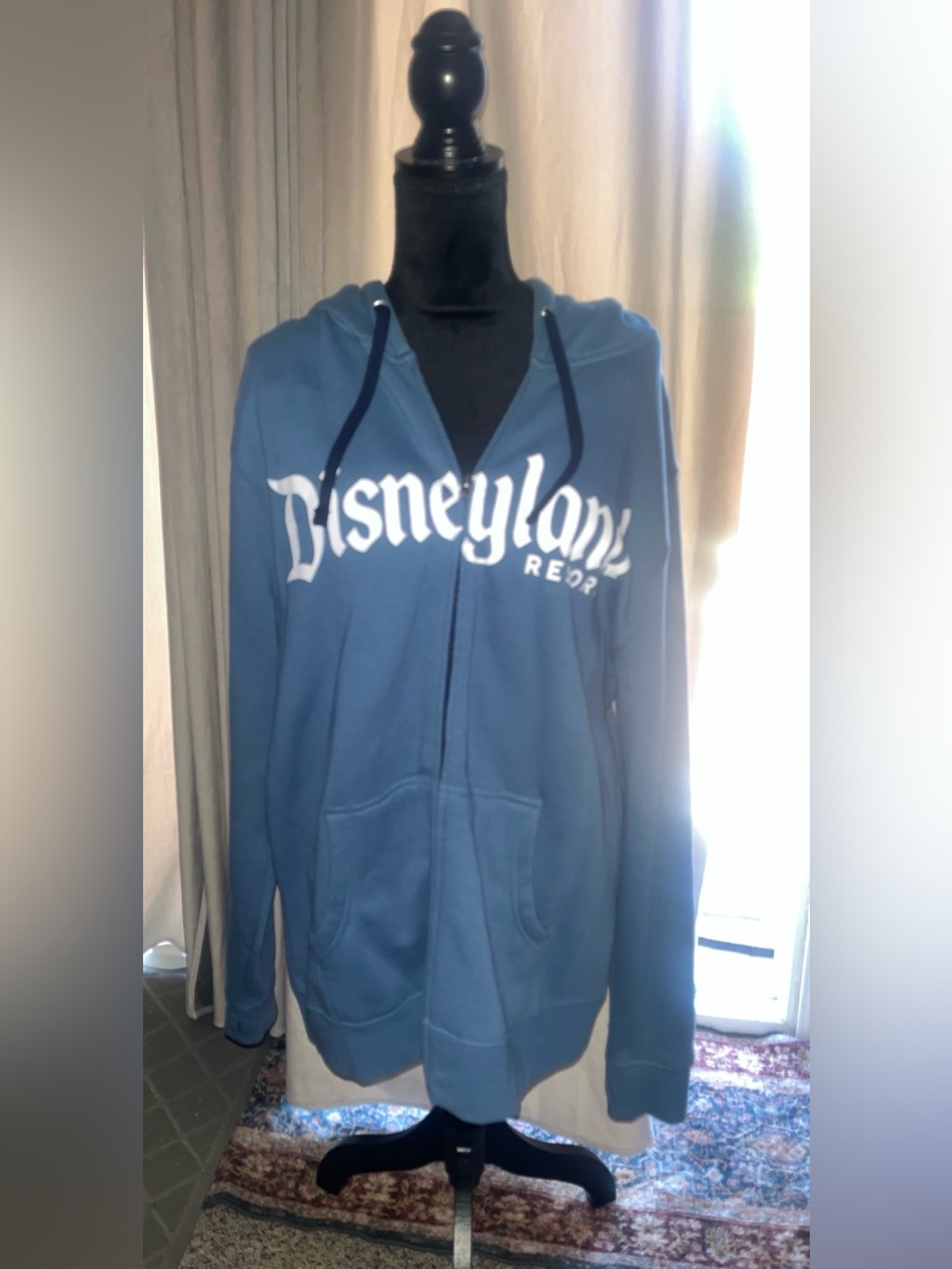 Disneyland Resort Blue Men’s/ Unisex Hoodie Sz L
